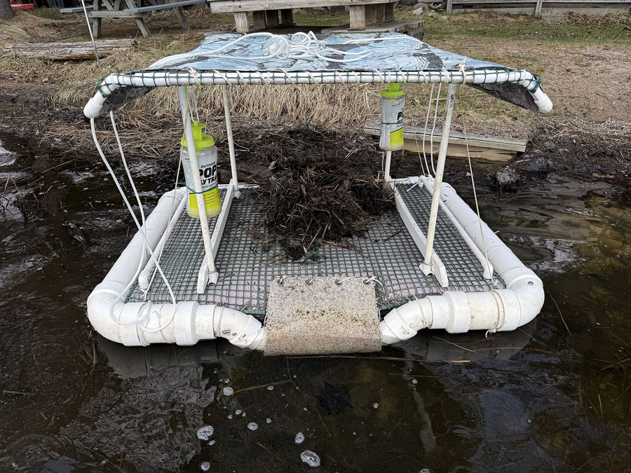 Loon Nest
