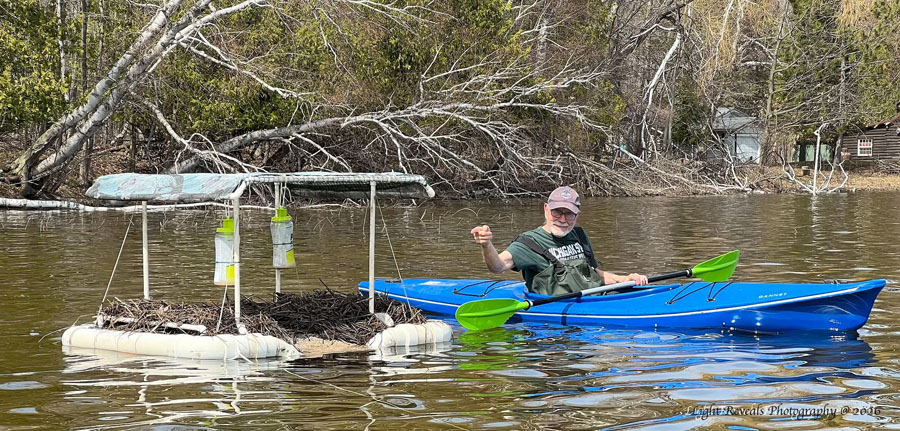 Gene pointing to nest